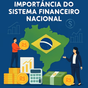 Sistema Financeiro Nacional SFN